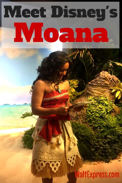 Moana Characters, Disney Hawaii, Universal Trip, Disney World Christmas, Disney World Characters, Epcot Food, Disney World Magic Kingdom, Disney Ideas, Beach Holidays