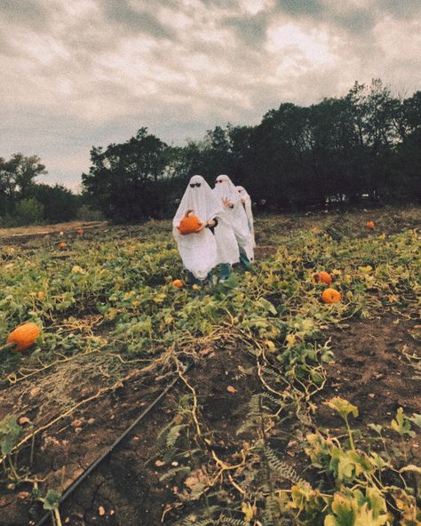 Fall Ghost Photoshoot, Friend Ghost Photos, Ghost Blanket Photoshoot, Bff Ghost Photoshoot, Fall Aesthetic Ghost Photo Shoot, Ghost Photo, Ghost Photography, Ghost Photos, Pumpkin Patch