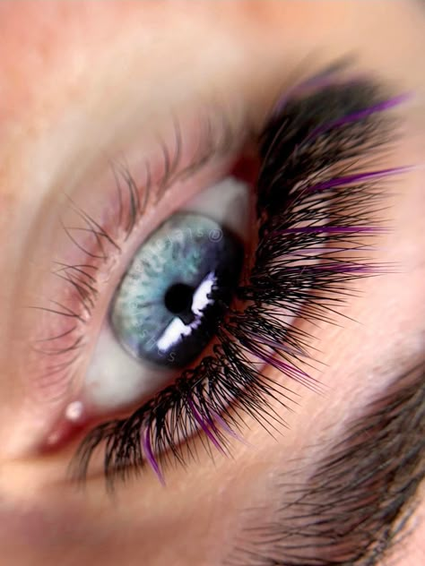 Purple Lash Extensions Styles, Purple Eyelashes, Eye Lash Design, Lash Extensions Styles, Great Lash, Perfect Eyelashes, Pretty Lashes, Brow Wax, Lashes Beauty