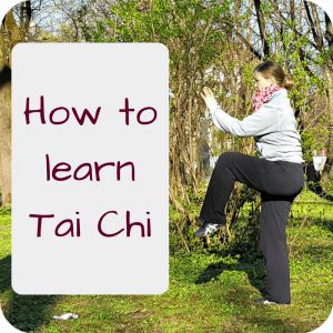 Do you wonder how to learn Tai Chi Chuan (or Taijiquan)? I've been learning it for some years now and share what I recommend Tai Chi beginners. Yang Style Tai Chi, Tai Chi Moves, Learn Tai Chi, Tai Chi For Beginners, Qigong Exercises, Tai Chi Exercise, Tai Chi Qigong, Chi Kung, Tai Chi Chuan