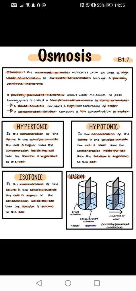 Biology Notes Osmosis, Osmosis Revision Notes, Biology Osmosis Notes, Osmosis Notes Biology, Osmosis Nursing, Osmosis Notes, Biology Revision Notes, Biology Revision, College Notes