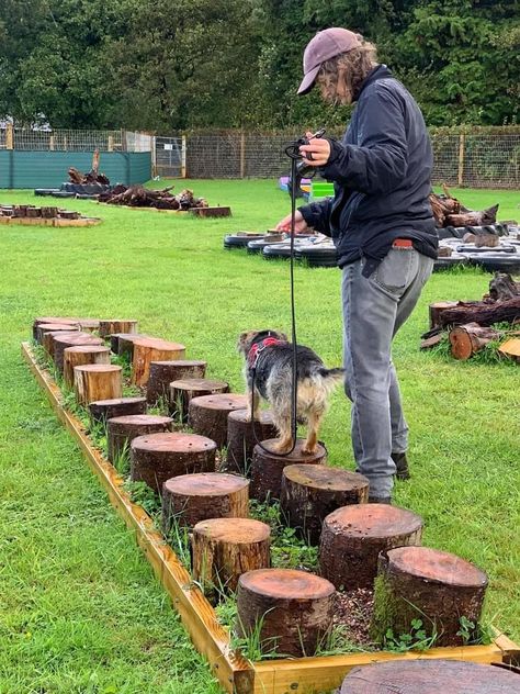 Backyard Agility Course For Dogs, Dog Sensory Yard, Dog Climbing Structure, Diy Dog Agility Course Backyards, Doggie Daycare Ideas Design Play Areas, Indoor Dog Park Ideas, Diy Dog Park Backyard, Dog Playground Diy, Dog Outside Play Area