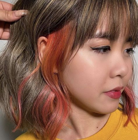 Pop of colour/ colour strip Colour Ends Of Hair, Stripe Of Color In Hair, Pop Of Colour Hair, Pop Of Color Hair Hidden, Dyed Strip Of Hair, Hidden Pops Of Color In Hair, Pop Of Color In Brown Hair, Strip Of Color In Hair, Brunette Color Blocking