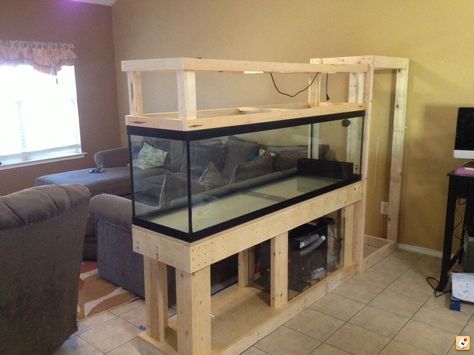 75 Gallon Aquarium, Aquarium Cabinet, Aquarium Stands, Wall Aquarium, Kolam Koi, Fish Tank Stand, Diy Fish Tank, Fish Tank Design, Fishing Room