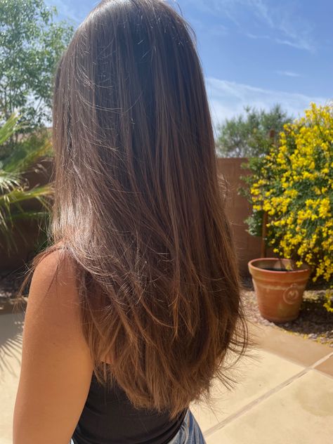 Haircut Inspo Brown Hair, Layers For Long Hair Brown, Long Layers On Brown Hair, Hair Cuts Long Layers Straight, Simple Layers For Long Hair, Long Brown Hair With Long Layers, Haircut For Straight Hair Girl, Hair Cut Straight Hair Girl, Straight Layers Long Hair