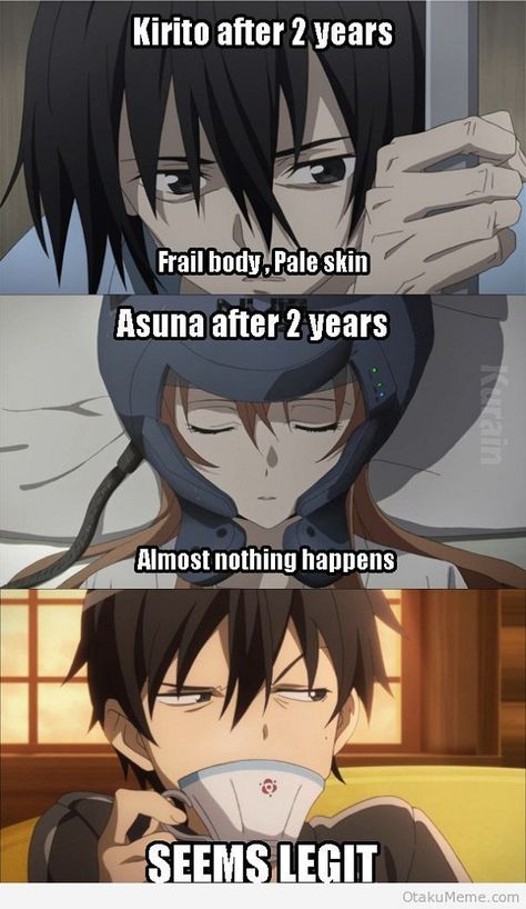 15 of the Funniest Sword Art Online Memes - 15 Durarara!!, Sao Memes, Otaku Meme, Anime Jokes, Anime Memes Funny, Anime Meme, Noragami, I Love Anime, Monster Hunter