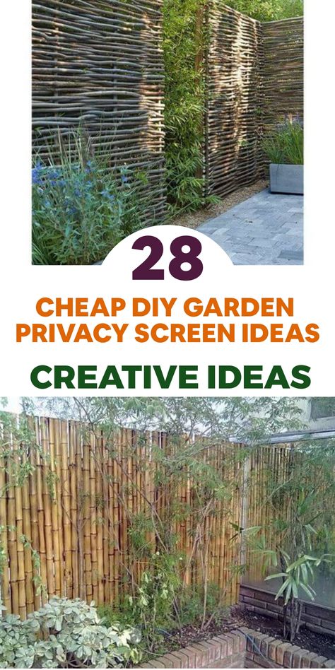 Achieve enhanced privacy in your garden on a budget with these creative DIY ideas! Consider repurposing old doors or shutters into an attractive privacy screen by mounting them strategically. Alternatively, use outdoor fabric or curtains to craft a whimsical and cost-effective divider. Create a cozy outdoor oasis by suspending them from a pergola or fixing them onto a wooden frame. For added charm, adorn the area with twinkling fairy lights to set a magical evening ambiance. Fly Repellant Diy, Privacy Screen Ideas, Chicken Coop Designs Diy, Diy Privacy Screen, Garden Sanctuary, Garden Privacy Screen, Diy Fountain, Above Ground Pool Landscaping, Garden Privacy