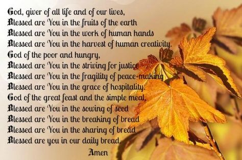 Prayer of Approach Harvest Home Blessing Short Thanksgiving Prayer, Harvest Prayer, Thanksgiving Prayers, Psalm Of Thanksgiving, Prayers And Blessings, Thanksgiving Poems, Prayer Of Praise, Prayer Of Thanks, Giving Thanks To God