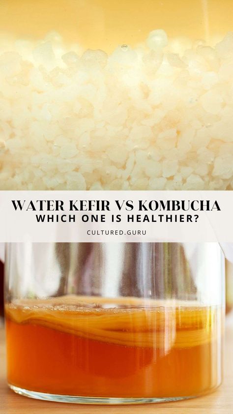 These fizzy drinks are unique. When looking at water kefir vs kombucha, the main difference is the microorganisms in the starter cultures. Kombucha SCOBYs contain more yeast, and acetic acid bacteria are the dominant bacterial species. Water kefir grains contain less yeast, and lactic acid bacteria are the most dominant types of bacteria. Read the blog to learn more! Jun Kombucha, Kefir Drink, Types Of Bacteria, Water Kefir Grains, Kombucha Scoby, Fizzy Drinks, Starter Cultures, Kefir Recipes, Kefir Grains