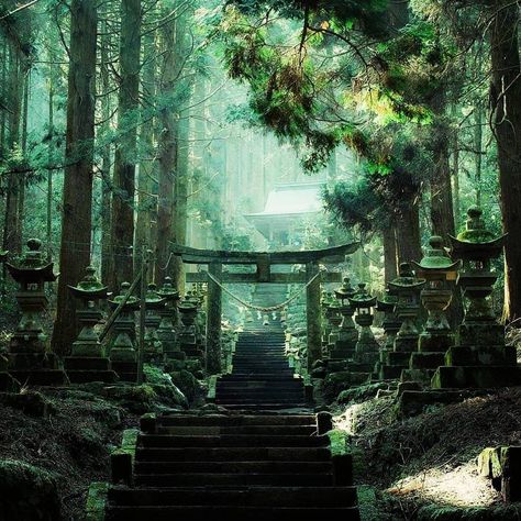 Shinto Aesthetic, Marshmello Wallpapers, Japon Illustration, Japan Photo, Fantasy Places, Alam Yang Indah, Anime Scenery Wallpaper, Fantasy Art Landscapes, 판타지 아트