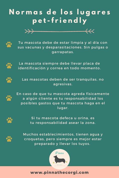 ¿Vas a visitar un lugar pet friendly? Aquí algunas cosas que debes de saber para preparar tu viaje pet friendly. Ya se que vayas a un hotel o cafe dog friendly hay normas que debes de saber. #petfriendly #dogfriendly #consejosparamascotas #hotelparaperro Pet Friendly Cafe, Doggy House, Hotel Ideas, House Cafe, Dog Room, Cafe House, Dog Rooms, Dog Travel, Dog Houses