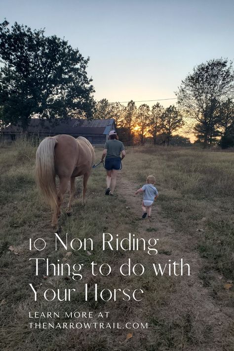 Bonding With Your Horse, Things To Do With Your Horse When You Cant Ride, Long Lining Horse Training, How To Train A Horse To Ride, New Horse Owner Checklist, Bonding With Horse, How To Ride A Horse For Beginners, Fun Things To Do With Horses, Horse Lesson Ideas