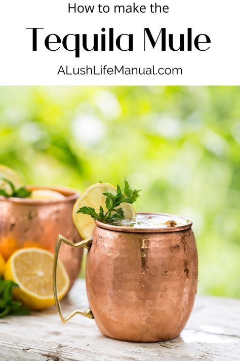 The Tequila Mule takes the Moscow Mule and brings it down south. Replace the vodka with tequila and you have one delicious cocktail! Mexican Mule Recipe, Tequila Mule, Ginger Beer Cocktail, Tequila Recipe, Mule Cocktail, Mule Recipe, Best Tequila, Beer Cocktails, Copper Mugs