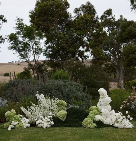 Outdoor Wedding Altars, Wedding Ceremony Floral Arch, Ojai Wedding, Courtyard Wedding, Wedding Alters, Wedding Ceremony Arch, Garden Weddings Ceremony, Wedding Planning Decor, Wedding Arbour