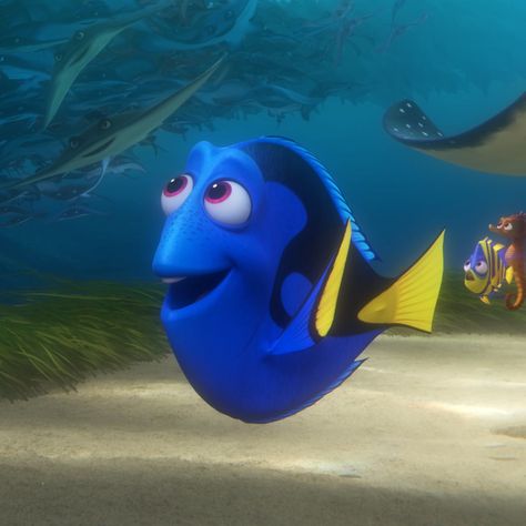 2 Finding Nemo Connections You May Have Missed in Finding Dory Halloween Character Ideas, Blue Disney Characters, Nemo Movie, Dory Fish, Dory Finding Nemo, Dory Nemo, Blue Tang, Disney Nursery, Finding Dory