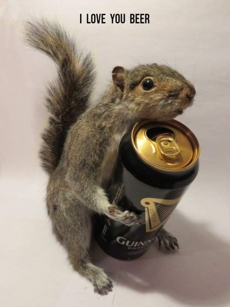 Drunk Squirrel, Squirrels, Taxidermy, Beer Can, Dean, Etsy Finds, Beer, Graphic Design, Canning