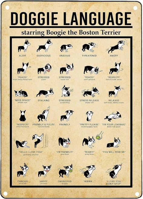 Amazon.com: JIUFOTK Doggie Language Infographic Metal Sign Know Your Dog Posters Knowledge Plaque Wall Decor For Home Club Room Pet Shop 12x16 Inches: Posters & Prints Language Infographic, Dog Infographic, Kitchen Classroom, Dog Posters, Infographic Poster, Man Cave Home Bar, Guest Room Office, Puppy Face, Dog Poster