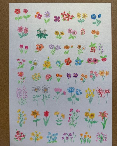 Colour Pencil Flower, Flower Doodles Easy, Card Doodles, Small Flower Drawings, Cute Flower Drawing, Small Doodle, Color Pencil Illustration, Flower Drawing Design, Cute Little Tattoos