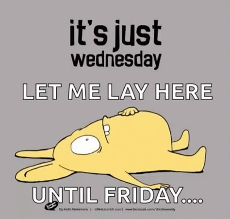 Its Just Wednesday Its Only Wednesday GIF - Its Just Wednesday Its Only Wednesday Bored - Discover & Share GIFs Wednesday Memes Work, It’s Wednesday, Hump Day Gif, Wednesday Gif, Positive Funny Quotes, Funny Wednesday Quotes, Morning Funnies, Wednesday Mood, Wednesday Memes