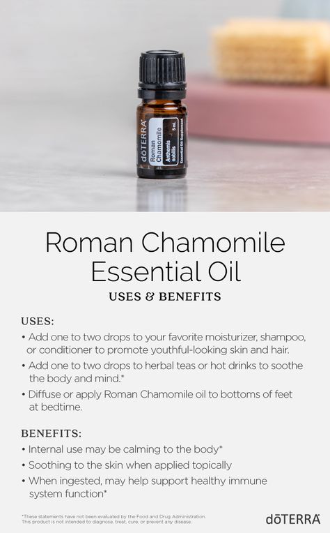 While the most common use of chamomile is in teas, Roman Chamomile essential oil can also be found in face creams, drinks, hair dyes, shampoos, and perfumes. This oil is known for its calming effect on the skin, mind, and body.* Roman Chamomile Essential Oil Benefits, Roman Chamomile Doterra, Roman Camomile, Chamomile Essential Oil Benefits, Doterra Roman Chamomile, Essential Oil Chart, Roman Chamomile Essential Oil, List Of Essential Oils, Doterra Essential Oils Recipes