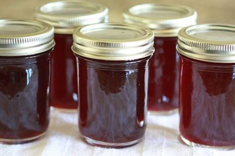 Chokecherry Syrup - Not sure where I would find chokecherries....but going to try it with black cherry juice. Muscadine Jelly Recipe, Chokecherry Recipes, Nebraska Recipes, Garden Preservation, Cordial Recipes, Canning Syrup, Chokecherry Syrup, Native Recipes, Muscadine Jelly