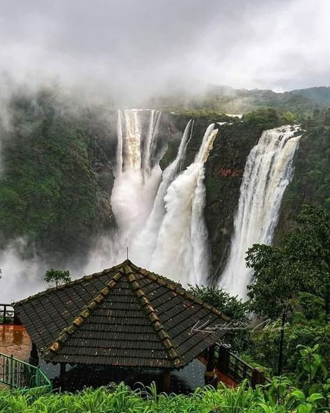 Jog Falls, Natural Waterfalls, Amazing India, Travel Picture Ideas, Beautiful Flowers Photos, Fall Pictures, Cool Pictures Of Nature, Beautiful Nature Pictures, India Travel