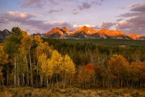 Fall is nearly here and we couldn't be more excited! Here are the ten most beautiful fall destinations in Idaho you should be on the lookout for. Explore Idaho, Idaho City, Sawtooth Mountains, Colorful Mountains, Leaf Peeping, Lake County, Autumn Scenery, Mountain Town, Scenic Drive