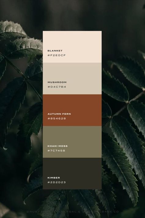 Green Terracotta Black Color Palettes, Down To Earth Color Palette, Nature Color Pallets, Neutral Masculine Color Palette, Color Pallets Earth Tones, Nature Wedding Colors Palette, Natural Brand Color Palette, Colour Palette Brown Earth Tones, Canva Color Palette Codes Dark