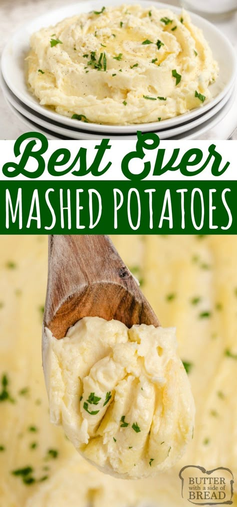 Best Mashed Potatoes are made with cream cheese, sour cream and lots of butter! Easy mashed potatoes recipe that turns out perfectly every time. Best Homemade Mashed Potatoes, Best Mashed Potatoes Recipe, بطاطس مهروسة, Perfect Mashed Potatoes, Easy Mashed Potatoes, Homemade Mashed Potatoes, Best Mashed Potatoes, Mashed Potatoes Recipe, Thanksgiving Recipes Side Dishes