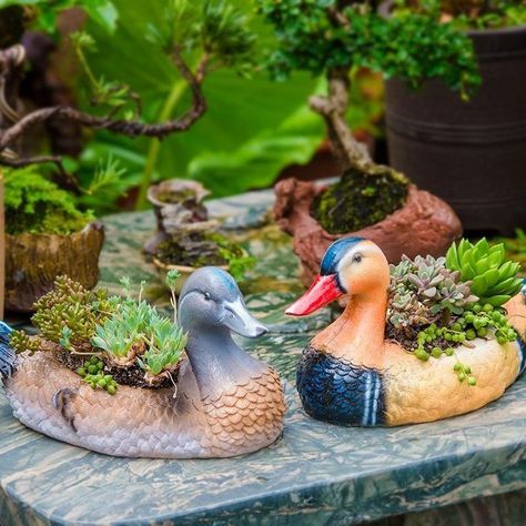 Duck Flower, Resin Flower Pot, Garden Animal Statues, Rabbit Flower, Easy Landscape Paintings, Garden Decoration Ideas, Mountain Landscape Painting, Sunrise Painting, Pot Garden