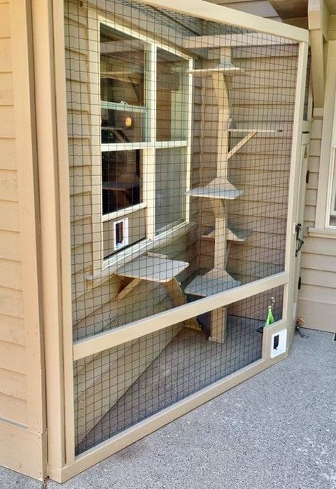 Katt Diy, Katt Grejer, Cat Enclosures, Koti Diy, Cat Patio, Outdoor Cat Enclosure, Cat House Diy, Outdoor Cat House, Outdoor Cat