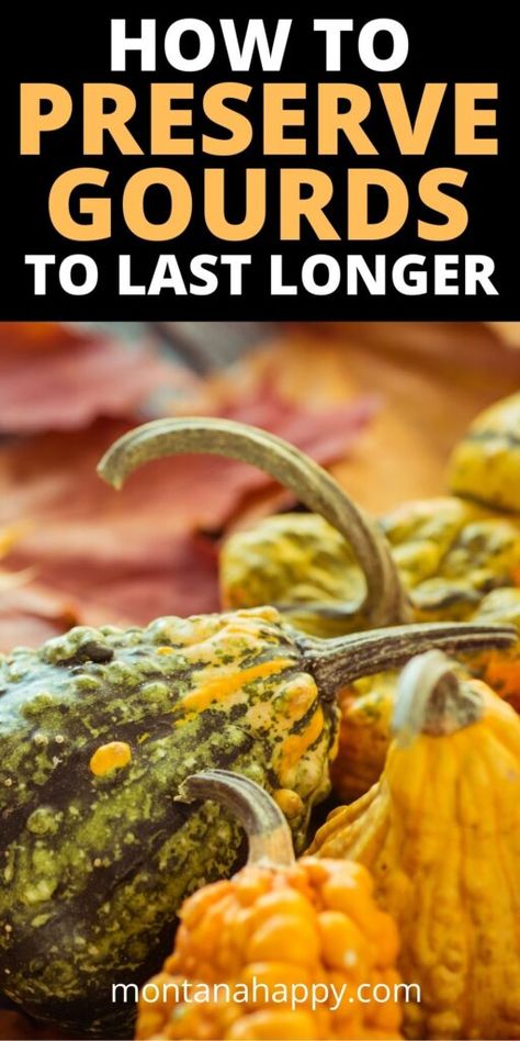 Hygge Spring, How To Dry Gourds, Preserving Pumpkins, Hygge Tips, Fall Ideas Decorating, Hygge Inspiration, Cozy Lifestyle, Rustic Recipes, Homesteading Ideas