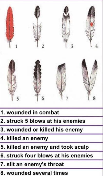 Native American Award for Valor, Courage and Bravery  Is there a Native American symbol awarded to great warriors for valor, courage, and bravery in battle much like the Silver or Bronze Stars awarded to soldiers. Amanda Tattoo, Devine Light, Feather Meaning, Native American Spirituality, Raven Feather, Native American Wisdom, Native American Symbols, Native American Quotes, Wilde Westen