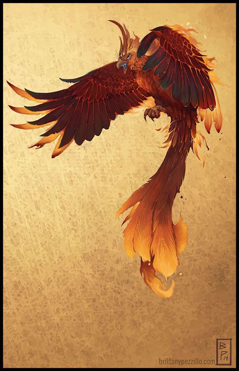 The Greater Phoenix, bpezz Griffin Mythical, Phoenix Drawing, Wings Of Fire Dragons, School Murals, Phoenix Art, Phoenix Bird, Muse Art, Fire Bird, Wings Of Fire