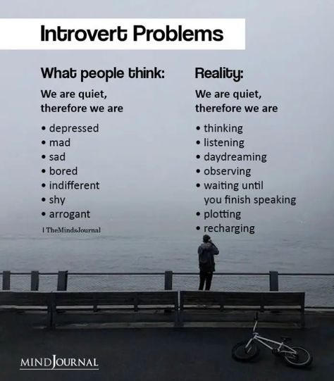 Introvert Problems, Humour, Introvert Vs Extrovert, Introvert Love, Introvert Personality, Introverts Unite, Introvert Quotes, Introvert Humor, Extroverted Introvert