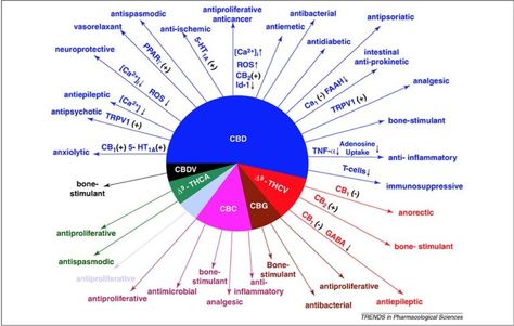 33 Amazing and Proven Benefits of CBD Oil | Wake Up World Cbd Oil Benefits, Endocannabinoid System, Cbd Hemp, Hemp Oil, Migraine, Cbd Oil, Chronic Pain, Pain Relief, Medicine