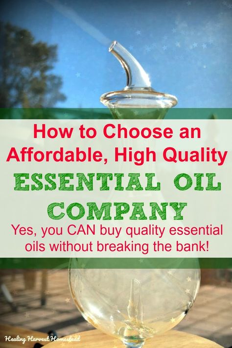 How to Choose Affordable, High Quality Essential Oils (No, You Don't Need to Break the Bank to Get Good Quality Essential Oils) — Home Healing Harvest Homestead Fall Diffuser Blends, Essential Oil Brands, Essential Oil Companies, Essential Oils Guide, Essential Oil Storage, Coconut Oil Uses, Essential Oil Blends Recipes, Vanilla Essential Oil, Plant Therapy