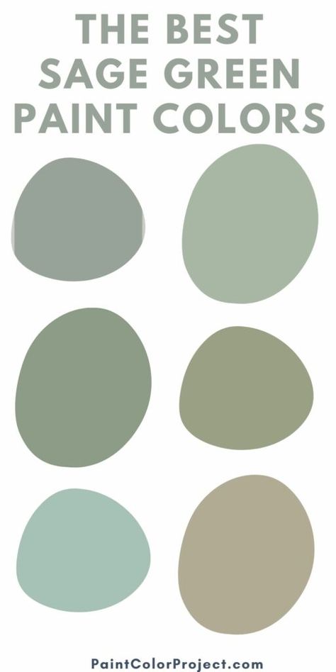 Green Gray Paint Colors, Green Gray Paint, Sage Palette, Green Exterior Paints, Green Scrapbook, Sage Green Paint Color, Sherwin Williams Green, Olive Green Paints, Green Widget