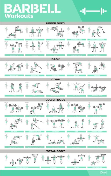 Poster Exercise, Barbell Workout For Women, Barbell Workouts, Fitness Poster, Workout Programs For Women, Gym Antrenmanları, Studio Pilates, Home Gym Exercises, Barbell Workout