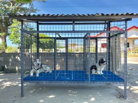 Dog Cage Ideas Outdoor, Dog Kennel Roof, Poultry Farm Design, Dog Farm, Dog Kennel Designs, Kennel Ideas, Dog House Plans, Outdoor Dog House, Cool Dog Houses