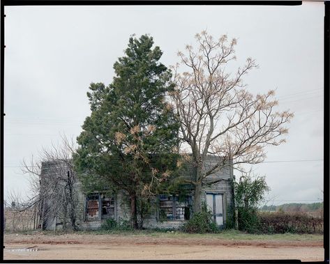 William Christenberry, "Palmist Building" William Christenberry, Animation Images, Southern Art, Growth And Decay, Art Medium, Chat With Friends, Animated Images, Vintage Photographs, Color Photography