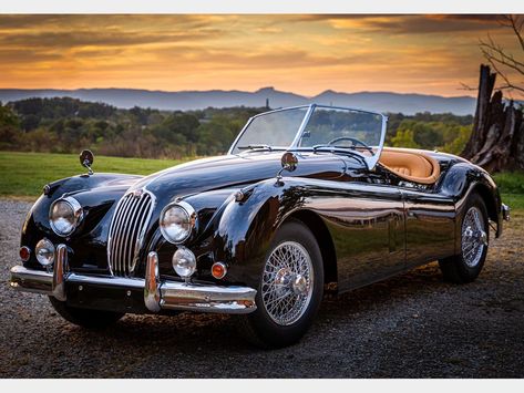 Jaguar Roadster, Jaguar (cars), Jaguar Xk120, Jaguar Models, Jaguar Cars, Auto Retro, Classic Automobiles, British Sports, British Sports Cars