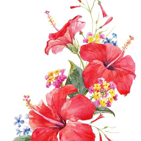 Joy Of The Garden I Wall art by Danhui Nai | Elephant Stock Hibiscus Drawing, Lantana Flower, Flor Tattoo, Tier Tattoo, La Tattoo, Hibiscus Tattoo, Flower Tropical, Hibiscus Plant, Red Hibiscus