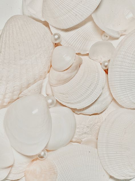 White seashells phone wallpaper White Pearl Wallpaper, Seashells Wallpaper, Coquette Instagram, Vanilla Aesthetic, Aesthetic Clean Girl, Pearl Wallpaper, Mermaid Wallpapers, Aesthetic Clean, Clean Girl Aesthetic