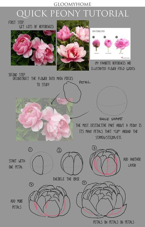 tuto pas à pas dessiner une pivoine #paintingtechniques #painting #techniques #flowers Ako Kresliť, Fav Flower, How To Draw Flowers, Peony Drawing, Săpunuri Handmade, Draw Flowers, Flower Drawing Tutorials, Peony Painting, Peony Flowers