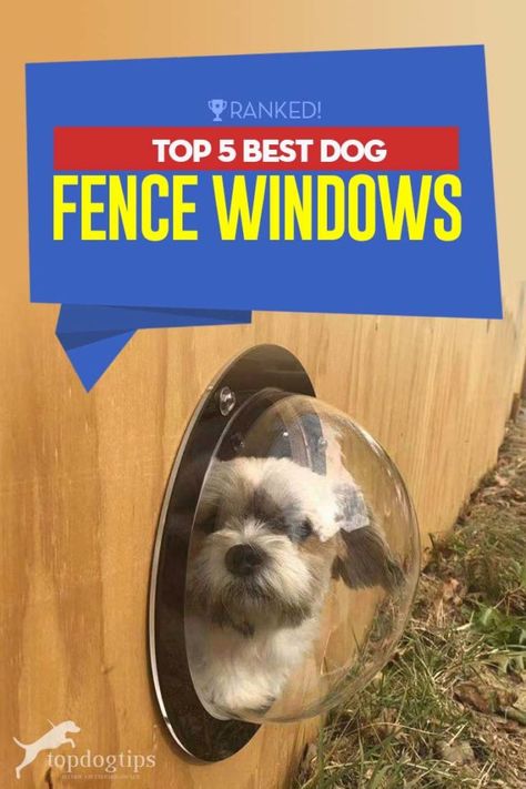 Dog Window In Fence, Front Yard Flower Bed, Fence Window, Dog Tracker, Invisible Fence, Dog Window, Wireless Dog Fence, Pet Fence, Diy Fence