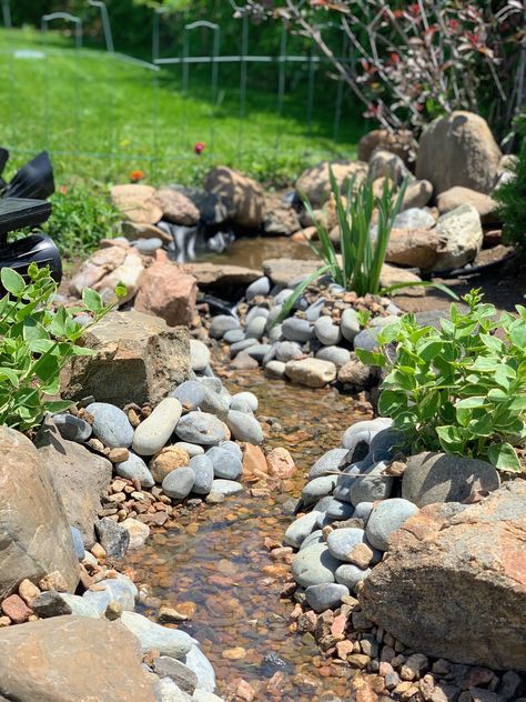 Diy Creek, Pond Ideas, Creek Bed, Dream Yard, Dry Creek, Ponds, Small Garden, Water Features, Ducks