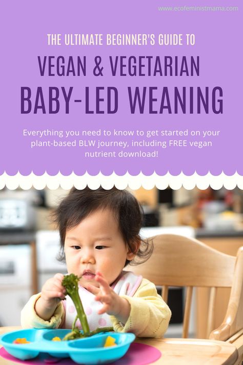 Vegan Baby Led Weaning, Vegan Blw, Baby Led Weaning First Foods, Baby Led Weaning Recipes, Vegan Baby, Reusable Nappies, Eco Friendly Baby, Baby Blog, Attachment Parenting