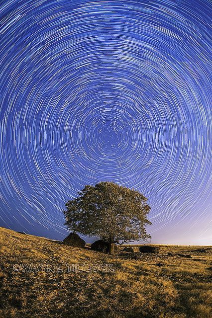 Astrophotography Tutorial, Star Trails Photography, Sky Images, Scenery Photos, Star Photography, Reflection Photography, The North Star, Long Exposure Photography, Star Trails