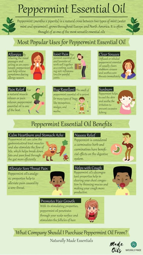 Peppermint Essential Oil: Complete Benefits & Uses Guide | MadeWithOils.com Benefits Of Peppermint, Essential Oils Allergies, How To Clear Sinuses, Essential Oils For Beginners, Mint Water, Diy Essential Oil Recipes, Lemon Benefits, Essential Oils Guide, Coconut Health Benefits